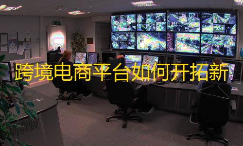 暗区突围挂 锁头 透视跨境电商平台如何开拓新市场并带来盈利契机？